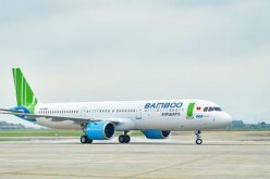 Tân binh Bamboo Airways “chiếm” bao nhiêu phần trăm thị phần hàng không?