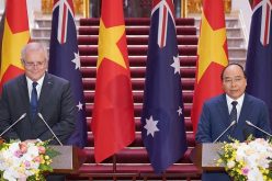 Năm 2020: Dự kiến Việt Nam – Úc nâng kim ngạch hàng hóa lên 10 tỷ USD