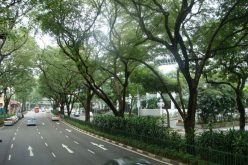 Các tập đoàn hàng đầu Singapore hứa rót tỷ USD vào Hà Nội