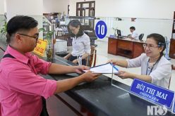 KBNN Ninh Thuận hoạt động ổn định sau sắp xếp lại bộ máy