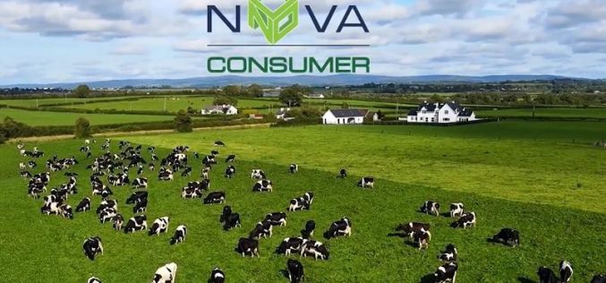 Nova Consumer sắp tổ chức ĐHĐCĐ, xin ý kiến niêm yết cổ phiếu NCG