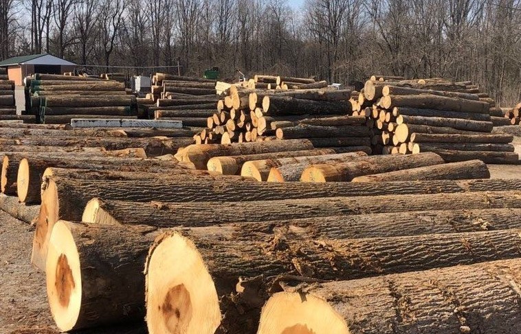 Sản phẩm làm từ gỗ rừng trồng tồn kho, khó xuất khẩu