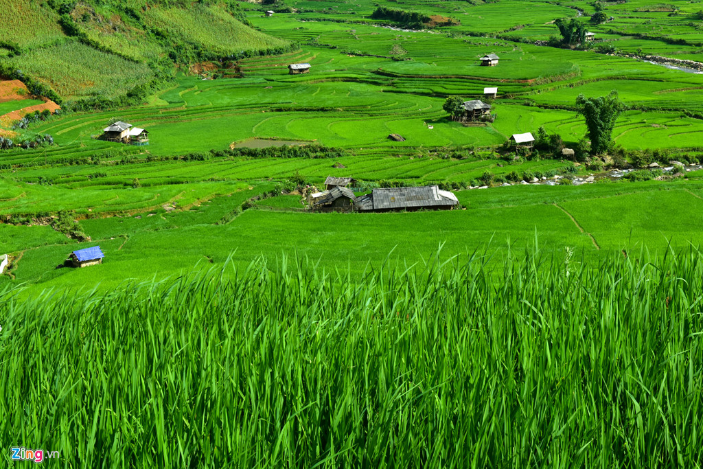 Hang động sâu hàng km chưa có dấu chân du khách ở Mù Cang Chải hình ảnh 10 Hang dong sau hang km chua co dau chan du khach o Mu Cang Chai hinh anh 10