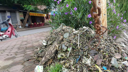 Hồ Văn Quán bốc mùi hôi thối nồng nặc, cuộc sống người dân đảo lộn ảnh 4