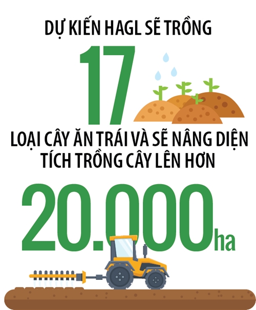Vì sao HAGL kỳ vọng vào trái cây hơn bò và bất động sản? Vi sao HAGL ky vong vao trai cay hon bo va bat dong san?