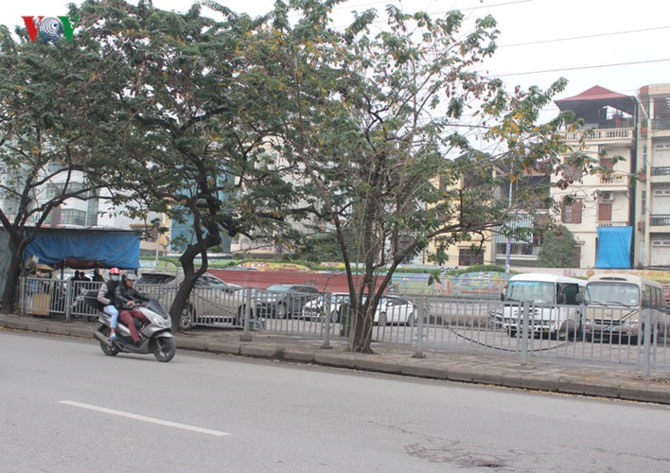 anh: ha noi tang phi gui xe, "xe hop" nhao nhac tim cho do hinh 4
