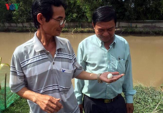 tro thanh ty phu tu 3 con le le hinh 8