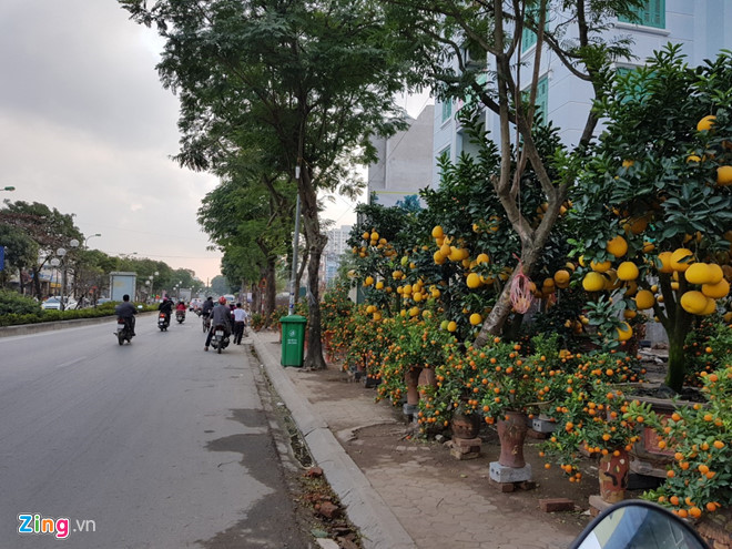 Mat bang ban hang Tet, gio co tien cung kho thue duoc hinh anh 2