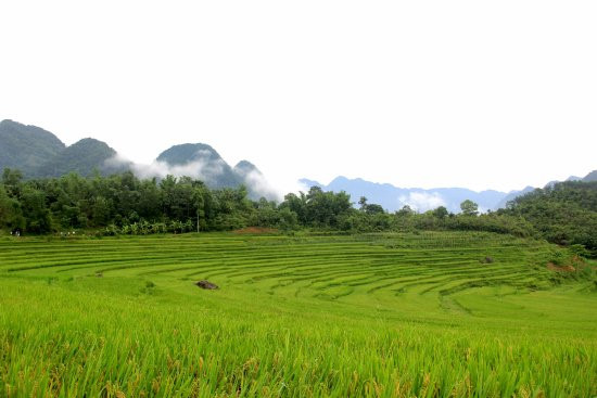 Về quê thủ môn Tiến Dũng: Ăn gì, chơi đâu? hình ảnh 3 Ve que thu mon Tien Dung: An gi, choi dau? hinh anh 3
