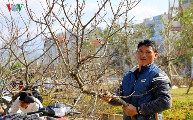 kiem bon tien tu viec dua dao rung xuong pho hinh 5