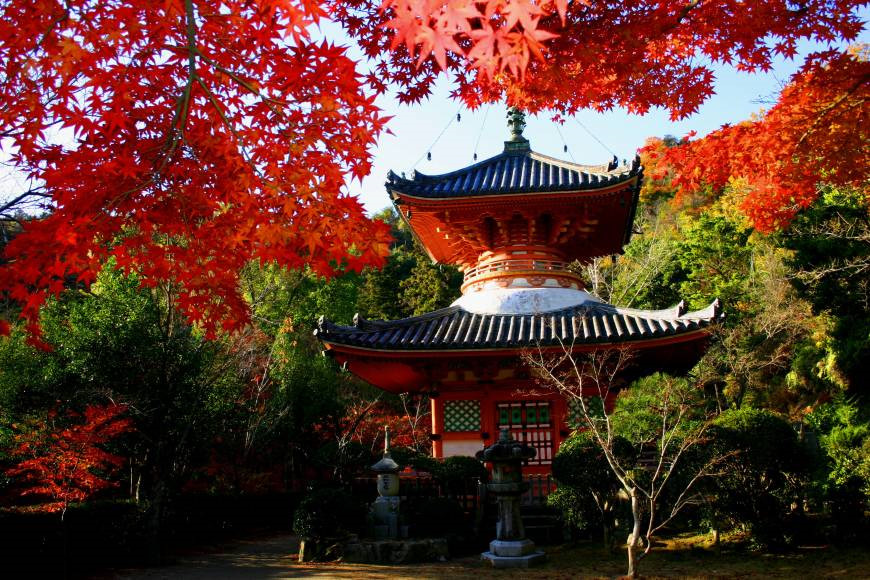 Dia diem nhat dinh phai ghe tham khi den Hiroshima hinh anh 5