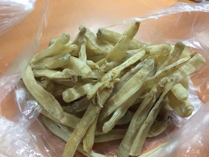 gia vị v&agrave;ng r&ograve;ng,nhụy hoa nghệ t&acirc;y,s&aacute; s&ugrave;ng,hạt dổi rừng,nh&agrave; gi&agrave;u việt,đặc sản nh&agrave; gi&agrave;u