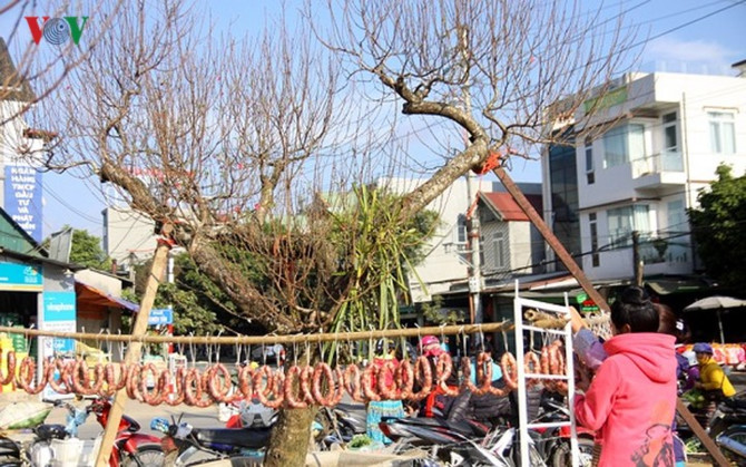 kiem bon tien tu viec dua dao rung xuong pho hinh 9