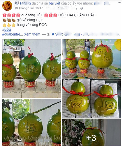c&acirc;y cảnh,dừa cảnh,quả trưng Tết,Thị trường tết