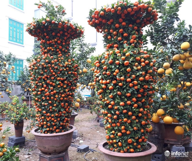 /Uploaded/tuanviet_tt/2018_01_10/infonet_quat_RXCH.jpg