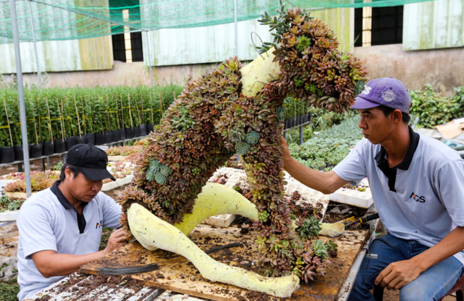 M&ocirc; h&igrave;nh đ&agrave;n ch&oacute; Ph&uacute; Quốc trước ng&agrave;y ra đường hoa Nguyễn Huệ