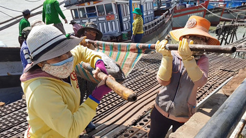Trúng đậm cá ngừ những ngày cận Tết, có thuyền lãi vài trăm triệu - ảnh 1