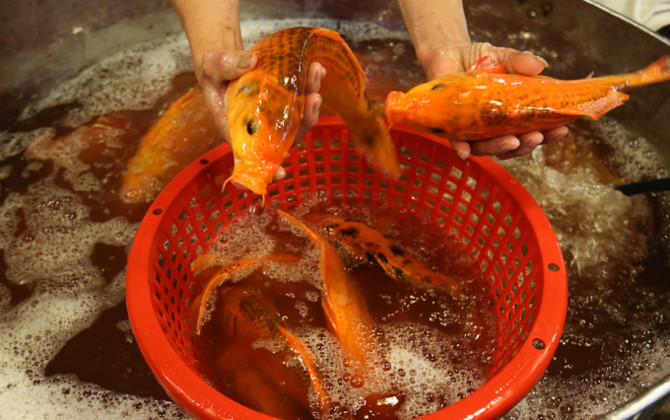 Nhộn nhịp mua cá chép lúc nửa đêm ở chợ lớn nhất Sài Gòn