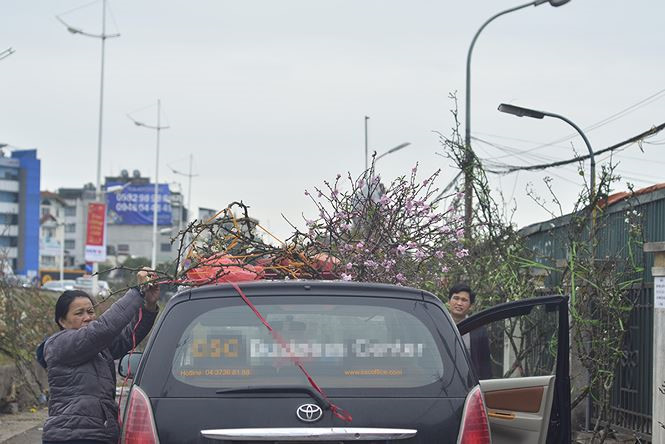 Tiền triệu một cành hoa lê rừng chơi Rằm tháng Giêng - ảnh 18
