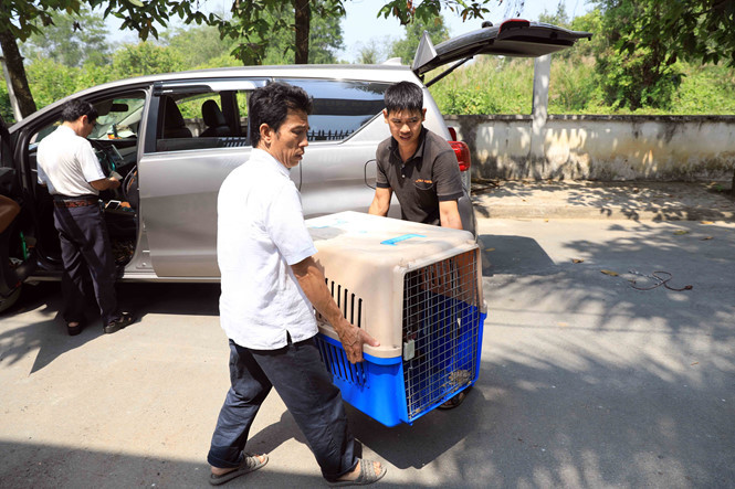 Hốt bạc ng&agrave;y Tết nhờ nhận nu&ocirc;i ch&oacute; k&yacute; gửi - ảnh 9