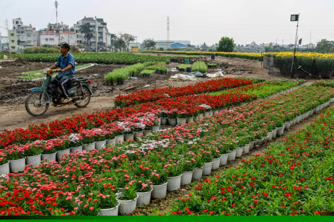 L&agrave;ng hoa ở S&agrave;i G&ograve;n hối hả v&agrave;o vụ Tết