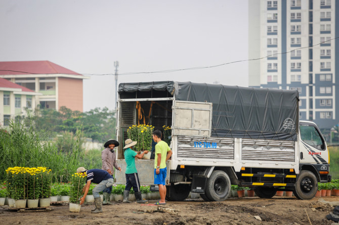 L&agrave;ng hoa ở S&agrave;i G&ograve;n hối hả v&agrave;o vụ Tết