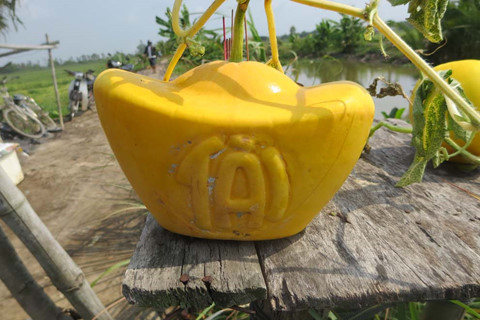 Nông dân Vĩnh Long trúng mùa dưa hấu tết - ảnh 2
