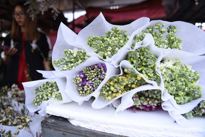 Chợ hoa lớn nhất Hà thành tấp nập ngày đêm