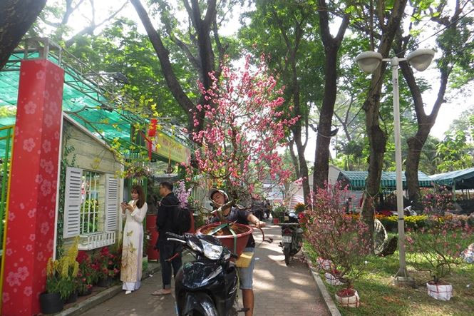 Lo bị '&eacute;p r&aacute;c', hoa tết xả h&agrave;ng sớm ở S&agrave;i G&ograve;n - ảnh 2