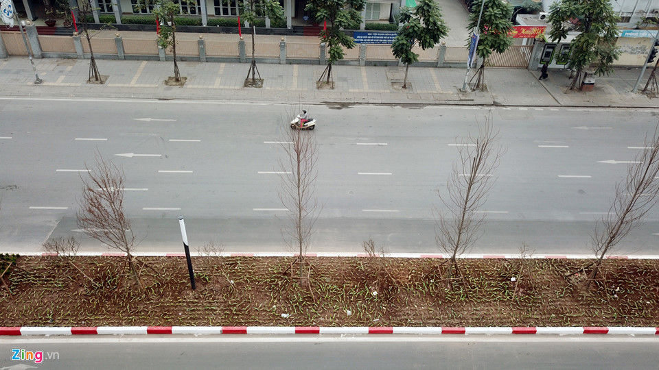 Hinh anh khac la cua Ha Noi chieu 30 Tet hinh anh 17