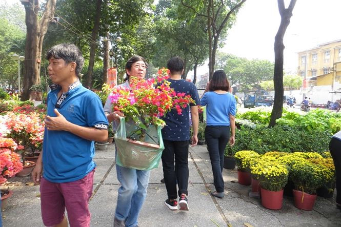 Lo bị '&eacute;p r&aacute;c', hoa tết xả h&agrave;ng sớm ở S&agrave;i G&ograve;n - ảnh 9