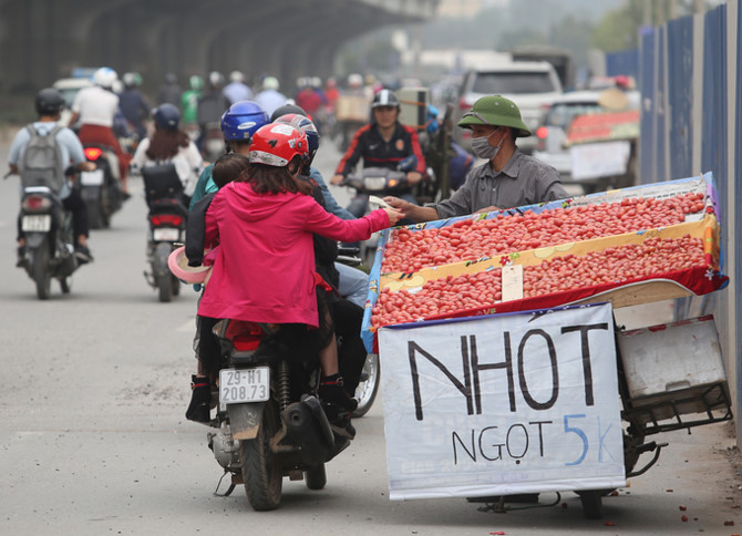 N&ocirc;ng d&acirc;n tất bật thu hoạch nh&oacute;t ch&iacute;n