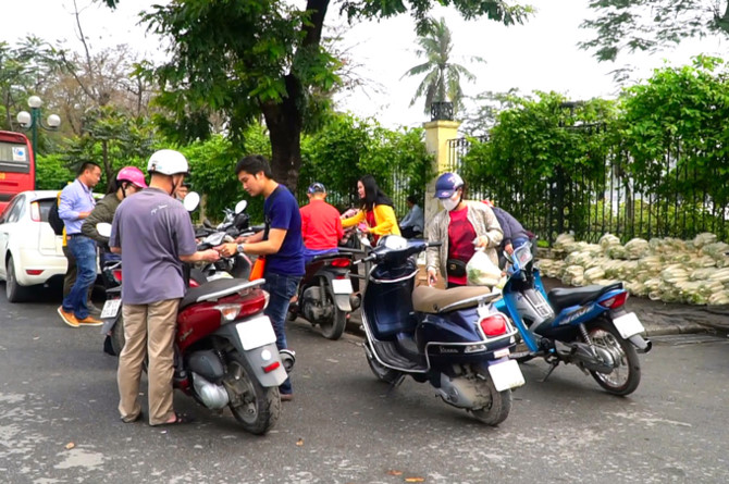 N&ocirc;ng d&acirc;n trắng đ&ecirc;m thu hoạch khi củ cải được 