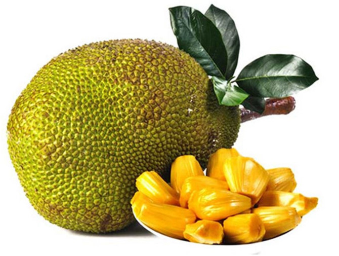 hạt mít,nông sản xuất khẩu,nông sản Việt,mít,Nhật Bản hạt mít,nông sản xuất khẩu,nông sản Việt,mít,Nhật Bản
