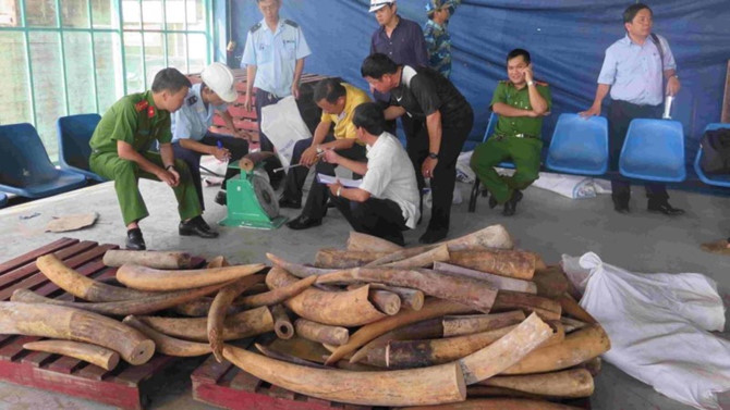 Thuê chị bán hàng rong làm giám đốc để… buôn lậu - ảnh 1