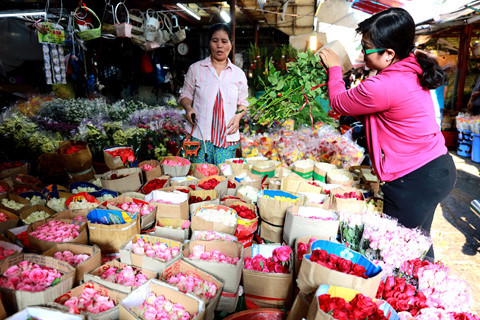 Một cành hồng cho ngày 8.3, giá chênh nhau đến 40 lần - ảnh 5