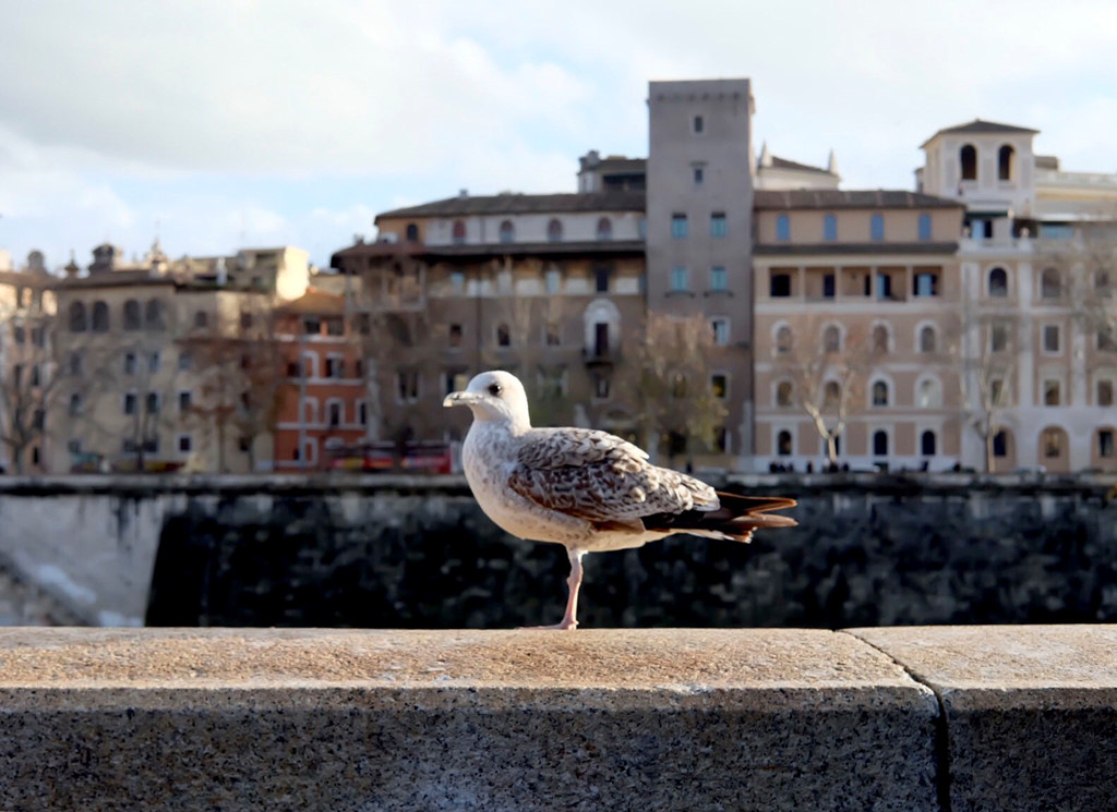 Một ngày 'dài vô tận' ở Rome hình ảnh 10 Mot ngay 'dai vo tan' o Rome hinh anh 10