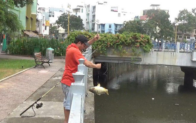 K&ecirc;nh Nhi&ecirc;u Lộc - Thị Ngh&egrave; đen ng&ograve;m, c&aacute; nổi d&agrave;y đặc người d&acirc;n v&ocirc; tư đứng c&acirc;u - Ảnh 9.