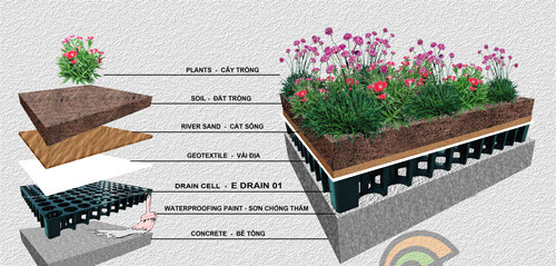 Gia chủ Hà Nội phải dỡ toàn bộ vườn trên mái vì ngấm nước - 1