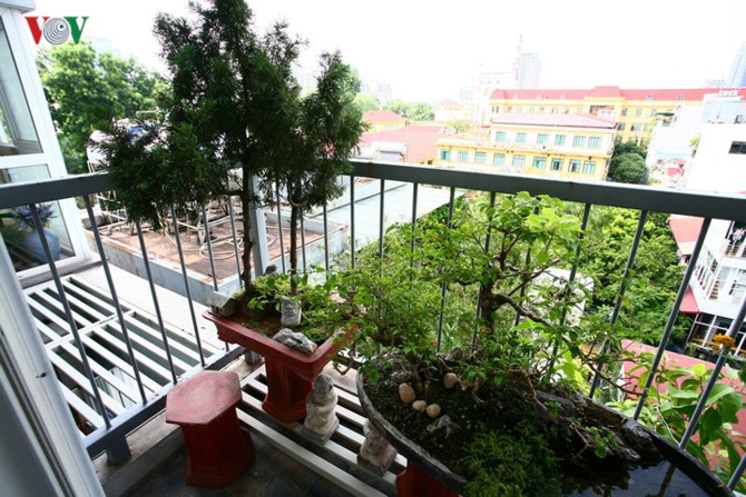 can ho nho an tuong cua doanh nhan ha noi hinh 6