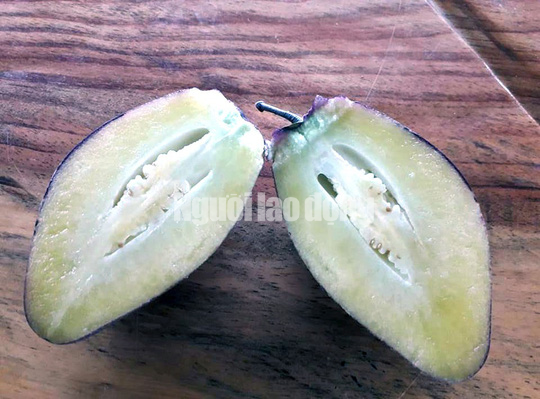 Kỹ sư trẻ trồng th&agrave;nh c&ocirc;ng dưa pepino t&iacute;m độc nhất Việt Nam - Ảnh 2.