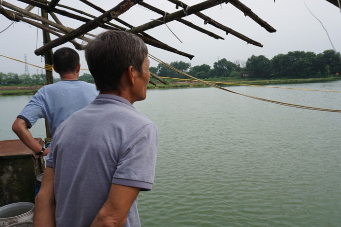 Với diện t&iacute;ch gần 2.000m2 mặt nước hồ c&aacute;, &ocirc;ng Lừng cho biết đang nu&ocirc;i sống gần 10 người trong gia đ&igrave;nh, sau n&agrave;y bị thu hồi sẽ kh&ocirc;ng biết l&agrave;m g&igrave; để sống.