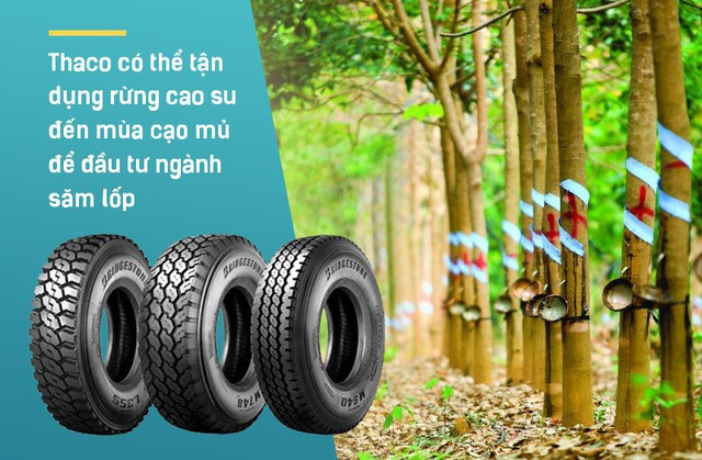 Đầu tư 1 tỷ USD vào HAGL, Thaco muốn gì? - Ảnh 2. Đầu tư 1 tỷ USD vào HAGL, Thaco muốn gì? - Ảnh 2.