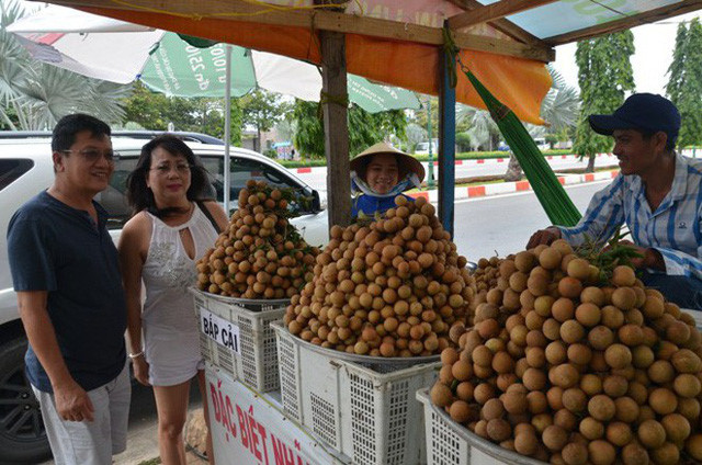 Nhãn bắp cải ở Vũng Tàu có gì đặc biệt mà giá gấp 10 lần nhãn thường? - Ảnh 11. Nhãn bắp cải ở Vũng Tàu có gì đặc biệt mà giá gấp 10 lần nhãn thường? - Ảnh 11.