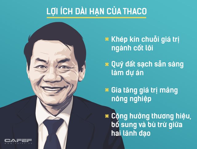 Đầu tư 1 tỷ USD vào HAGL, Thaco muốn gì? - Ảnh 3. Đầu tư 1 tỷ USD vào HAGL, Thaco muốn gì? - Ảnh 3.