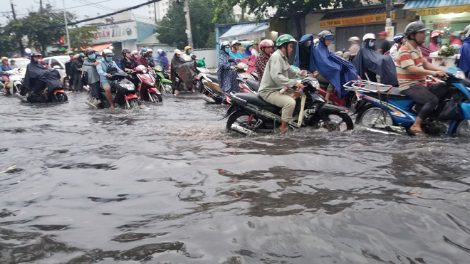 Nhieu tuyen Sai Gon ngap sau sau mua lon hinh anh 3