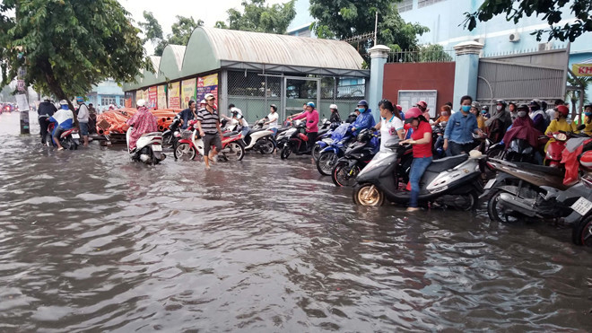 Nhieu tuyen Sai Gon ngap sau sau mua lon hinh anh 5