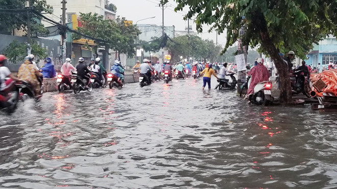 Nhieu tuyen Sai Gon ngap sau sau mua lon hinh anh 6