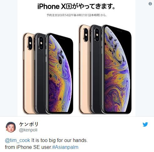 Man hinh qua to, iPhone moi co the gay bat tien doi voi phu nu hinh anh 2