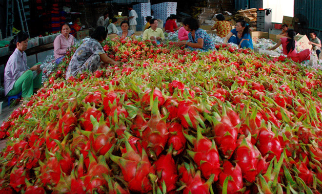 Vi sao doanh nghiep Viet